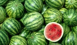 吃瓜群全网资源免费入口,吃瓜群免费入口大揭秘！