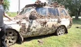 爆料挖出一辆车视频播放,揭秘背后惊人真相！