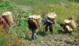 谷子爆料小石头视频大全,小石头视频大全精彩瞬间回顾