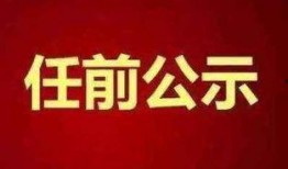 湖州市新闻爆料,聚焦民生热点，揭示社会现象