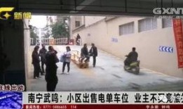 南宁武鸣新闻爆料电话,揭秘身边事，共筑和谐家园