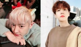 伯贤最新爆料,新作品背后的故事与灵感来源