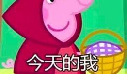 小猪先生八点爆料视频下载,揭秘视频背后的精彩瞬间