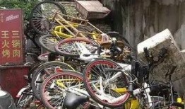 共享自行车爆料新闻报道,揭秘背后真相与困境