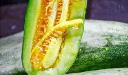 网红吃瓜网站是哪个,网红吃瓜网站背后的热门秘密