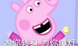 小猪先生八点爆料视频下载,揭秘视频背后的精彩瞬间