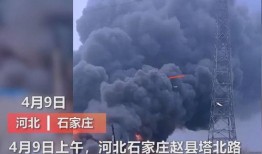最感人的画面爆料视频大全,盘点那些最感人的画面爆料视频
