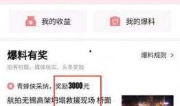 爆料视频有奖励吗,揭秘背后的秘密与机遇