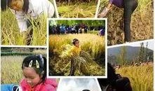 谷子爆料小石头视频大全,小石头视频大全精彩瞬间回顾