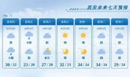 小雨最新爆料新闻,最新爆料新闻背后的惊人真相