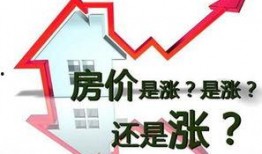 哈市房产爆料最新消息新闻