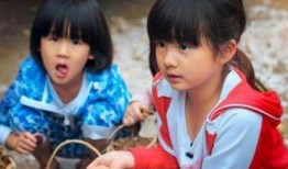 黄磊爆料女儿玩具视频,萌娃日常引网友热议