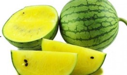 网红大嘴吃瓜图片,网红美食瞬间走红网络