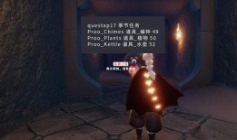 光遇下个季节物品爆料最新,神秘物品揭秘，探索未知领域