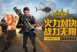 和平精英道歉爆料视频,深度剖析游戏漏洞与整改措施