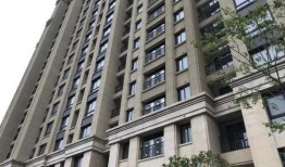 都市花园爆料最新消息,揭秘神秘事件背后的真相