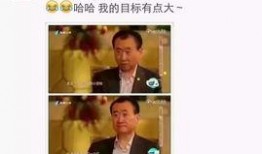 力哥爆料马云完整版视频,力哥完整版视频深度解析