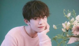 天涯娱乐爆料王源,天涯娱乐独家揭秘