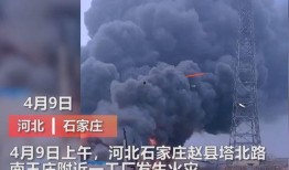 永年最新事件爆料视频大全,视频爆料揭示惊人真相