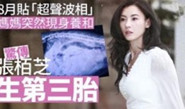 孙五前女友爆料视频播放,揭秘背后惊人真相