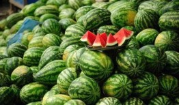 网红吃瓜颜色代表什么,一窥网络舆论背后的真相