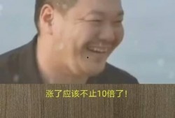 富人最新爆料视频,最新爆料视频深度解析