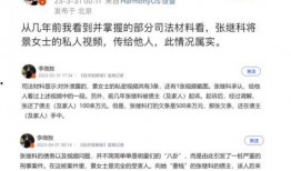 资深爆料张继科视频播放,资深爆料视频背后的精彩瞬间