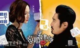 离婚律师在线观看全集,在线观看全集，揭秘婚姻破裂背后的法律智慧