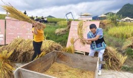 谷子爆料小石头视频大全,小石头视频大全精彩瞬间回顾