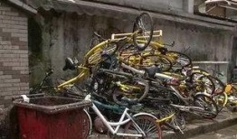 共享自行车爆料新闻报道,揭秘背后真相与困境