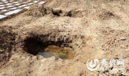 蒙阴县最新爆料新闻事件