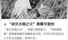 澎湃新闻爆料有回应吗,官方回应情况揭晓