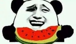 娱乐吃瓜菌没有一分钱,娱乐吃瓜菌如何成为网络红人