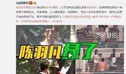 直播爆料丁海棠视频播放,丁海棠视频播放背后的惊人真相