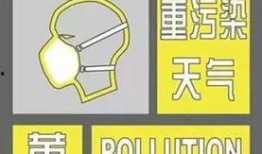 纸飞机老司机最新爆料内容,最新爆料带你领略纸飞机飞行新境界