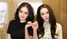 番茄小说女主娱乐圈爆料,揭秘番茄小说女主的爆料真相