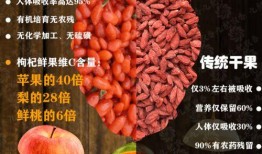 枸杞原浆制造爆料视频,匠心独运，营养精华尽在其中