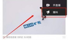 爆料视频有奖励吗,揭秘背后的秘密与机遇