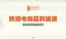 最新跨境电商爆料,揭秘最新爆料背后的行业变革