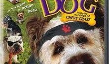 功夫神犬全集在线观看,忠诚守护，热血激战