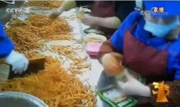 记者爆料虾扯蛋视频大全,虾扯蛋视频大全背后的真相