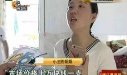 老马老婆爆料新闻视频大全,独家视频揭秘新闻背后的真相