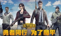 和平精英道歉爆料视频,深度剖析游戏漏洞与整改措施