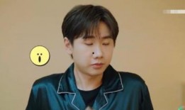 石凯私生爆料辟谣视频,辟谣背后的真相