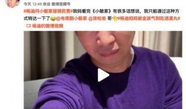 媒体爆料杨迪视频播放,揭秘背后真相