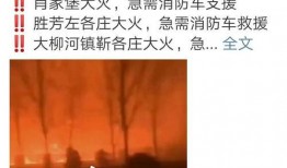 河北省廊坊今日爆料,聚焦城市热点事件