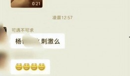 杨爸爆料视频大全最新一期,揭秘娱乐圈幕后真相
