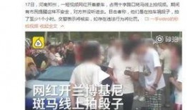 河南网红爆料事件视频,揭秘背后真相