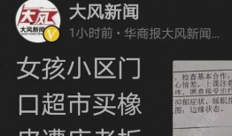 河南女孩爆料新闻报道最新,揭开校园霸凌背后的惊人真相