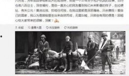 武清记者爆料事件始末视频,真相与争议的交织